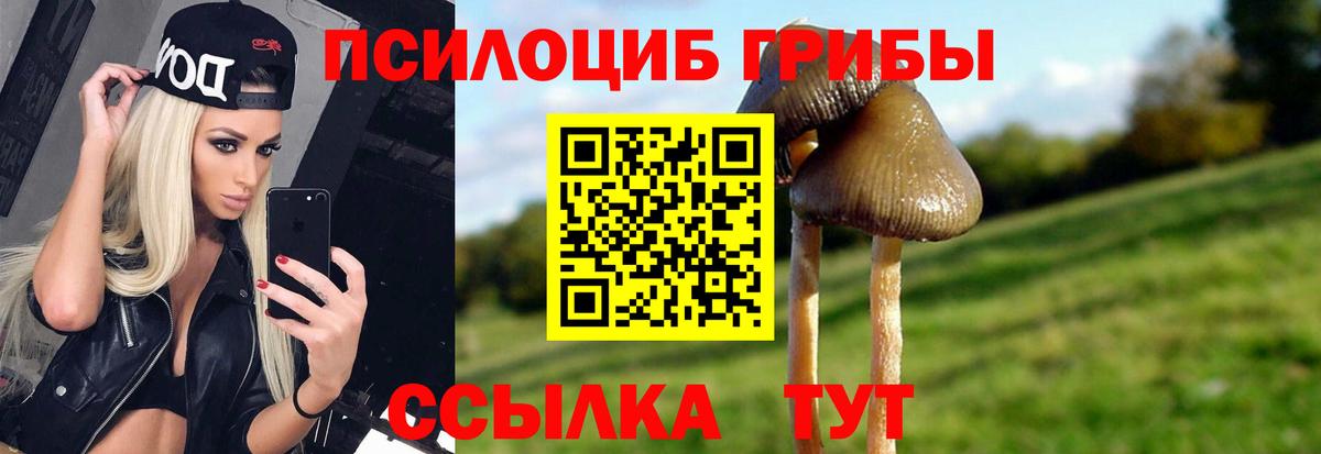 Кашира  Галлюциногенные грибы мухоморы  Вход с VPN  Галлюциногенные грибы прущие грибы 